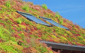Pullington living roof systems