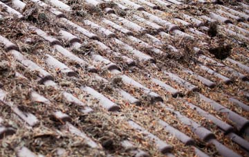 Pullington roof cleaning companies