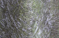 Pullington fibreglass roof work